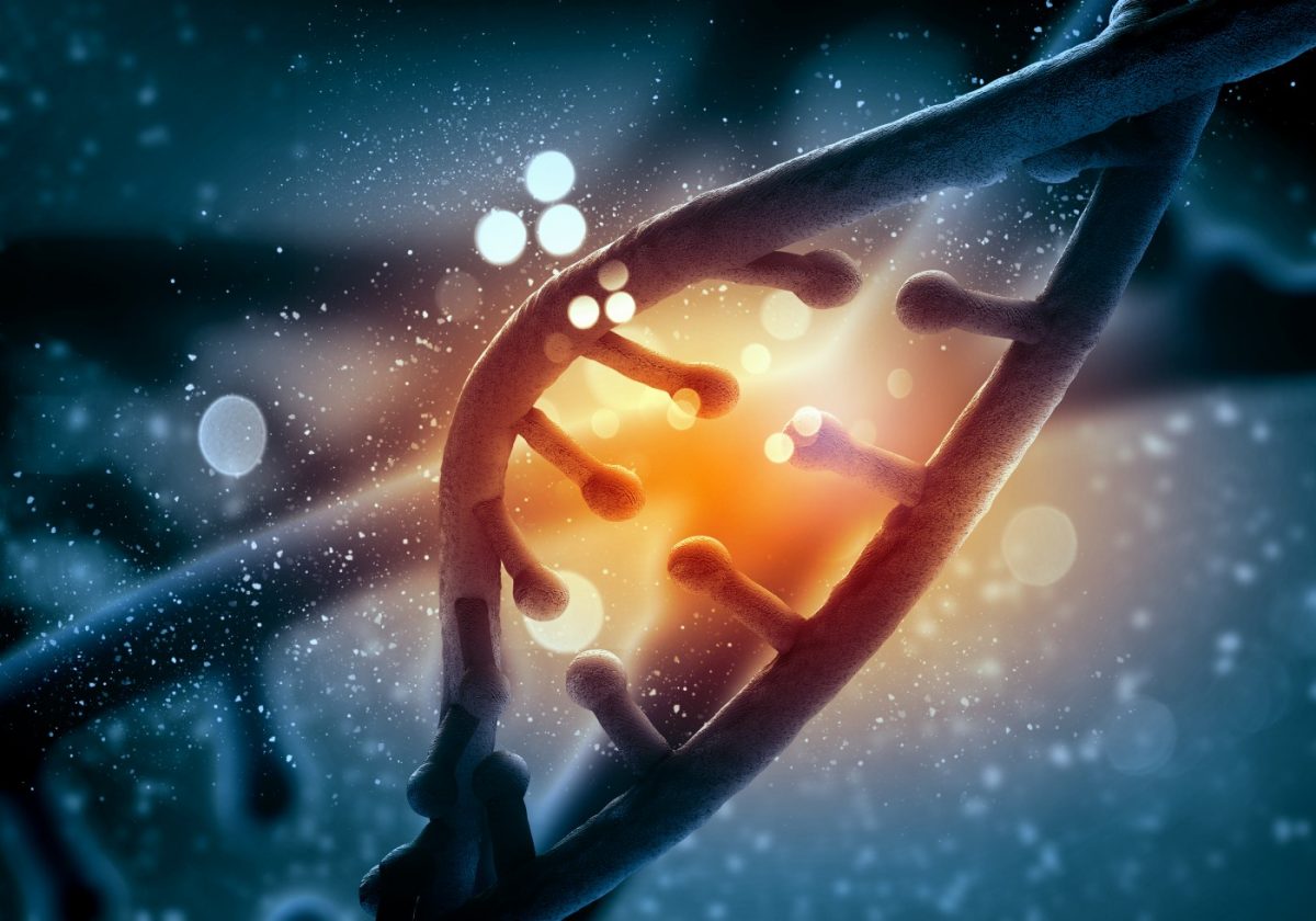 Some Lung Cancers with KRASRelated Mutations Sensitive to